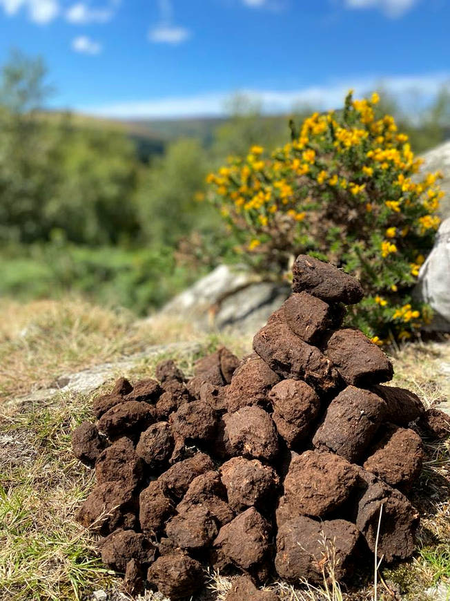 Brykiet torfowy czy węgiel kamienny